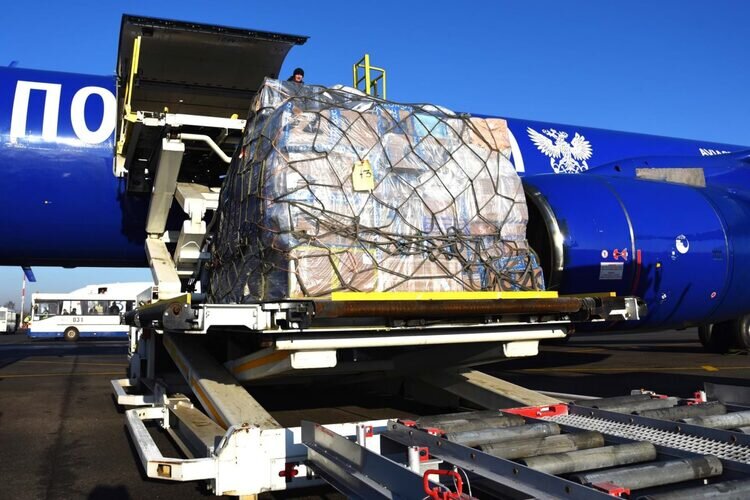 Фото из открытых источников.