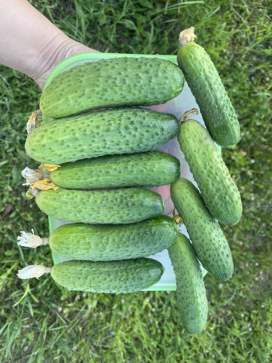 Личное фото