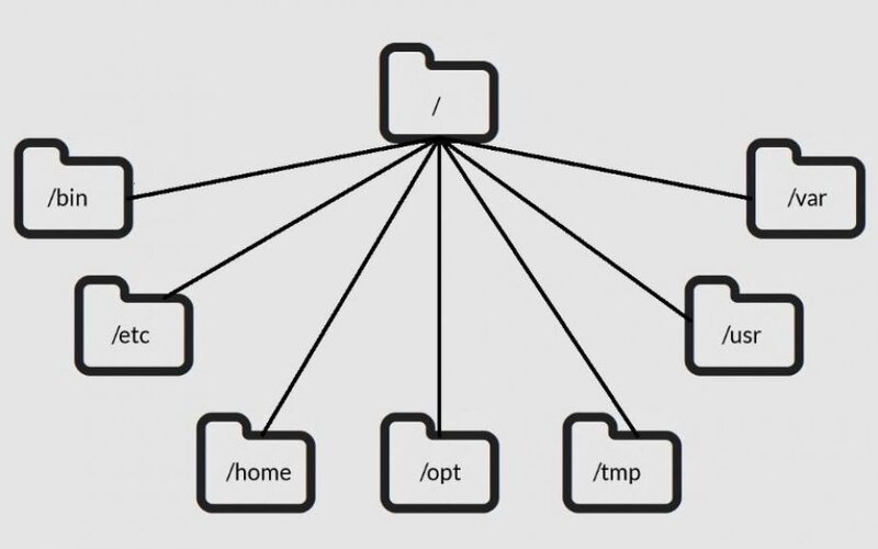 Одной из проблем при переходе пользователей с Windows на Linux, является понимание устройства структуры каталогов.