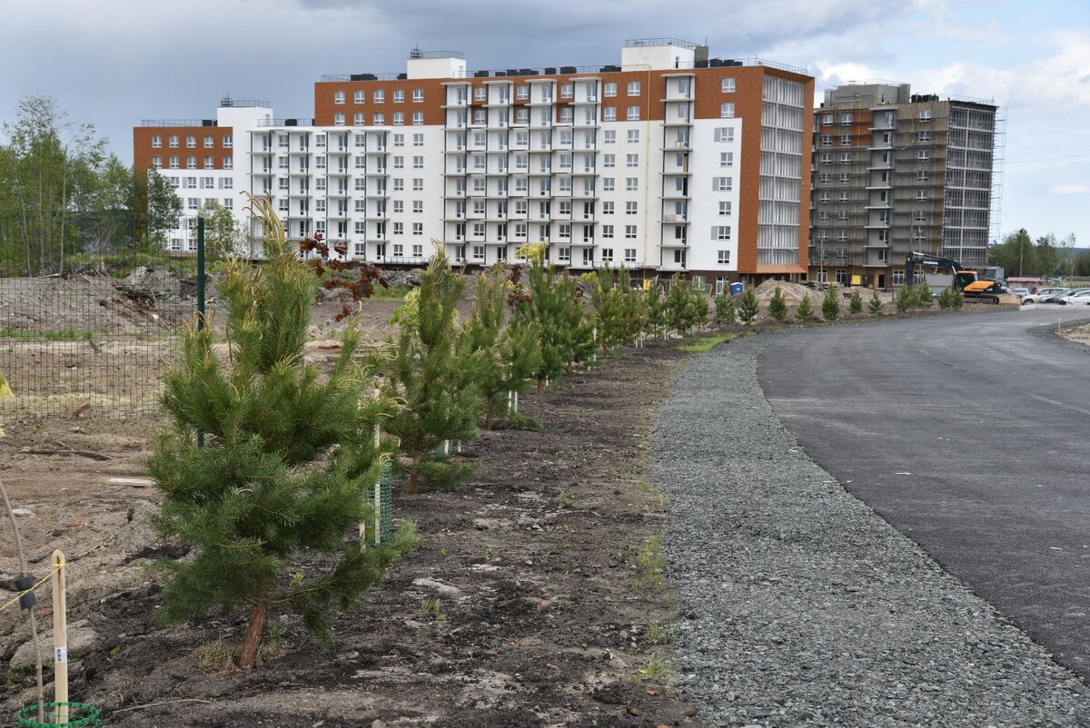 В районе «Talojarvi. Город у воды» будет действовать автономная локальная  очистка сточных вод (ФОТО, ВИДЕО) | Столица на Онего - новости  Петрозаводска и Карелии | Дзен