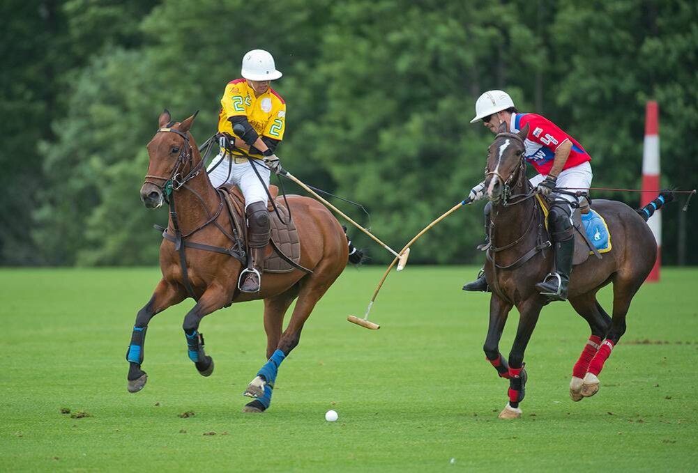 Лошадиных гольф. Поло для конного спорта. Polo Sport game. Конное поло Конное поло. Поло спорт на лошадях.