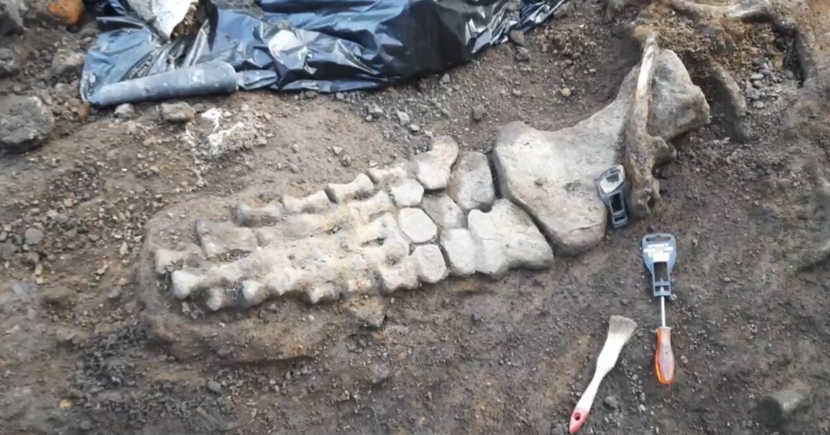 Фото ученых Института геологии Коми НЦ