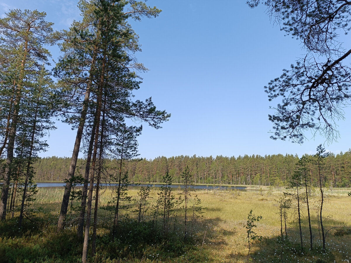 Заовражное озеро