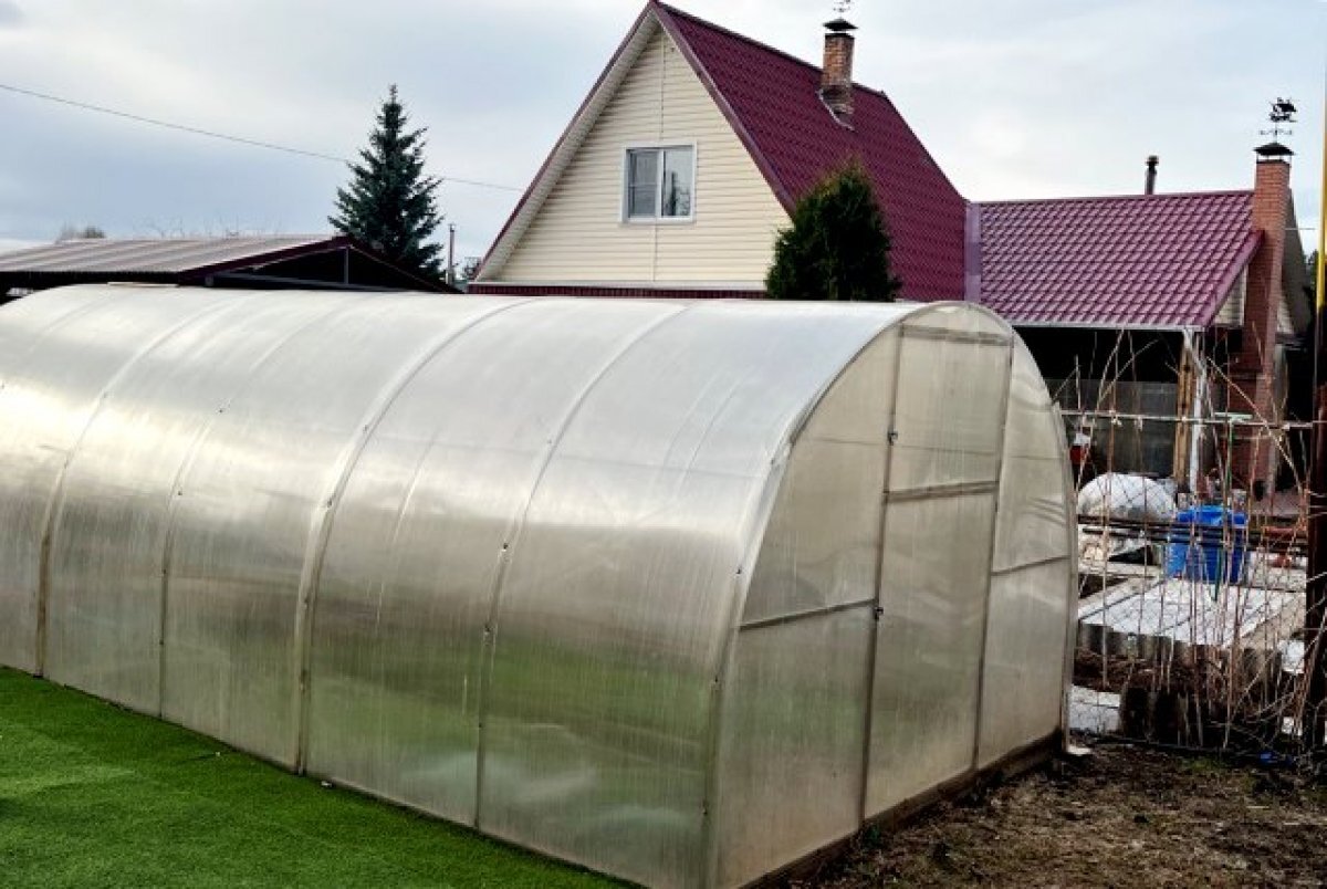    Вредители угрожают урожаю и на открытых грядках, и в теплицах.