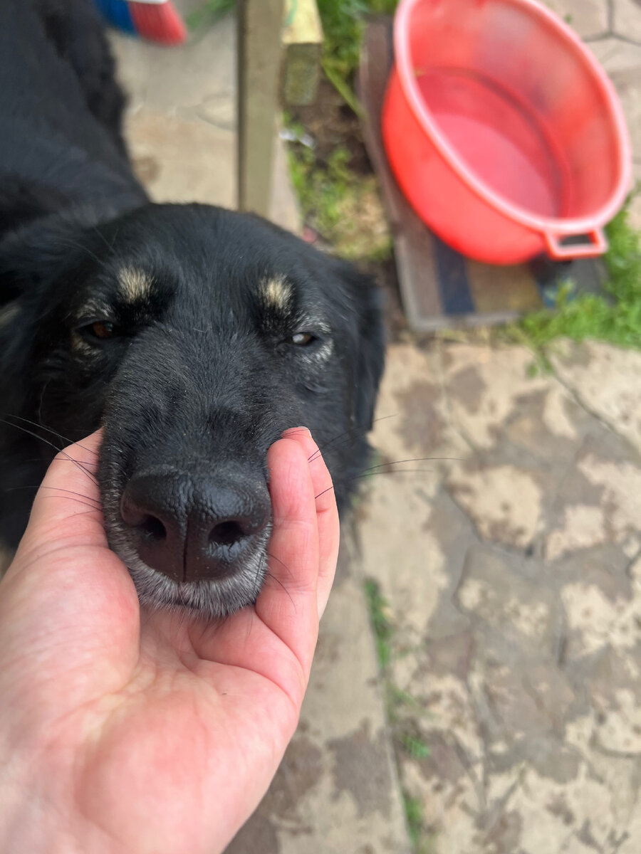 Ну Каааать…ну пууутииии!