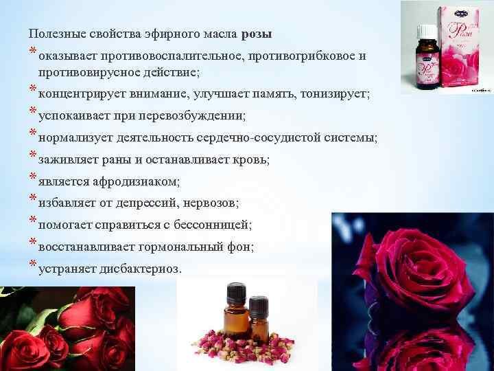 Масло розы свойства. Розы маслом. Характеристика розовое масло.