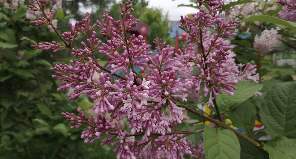 Всего пару недель назад!