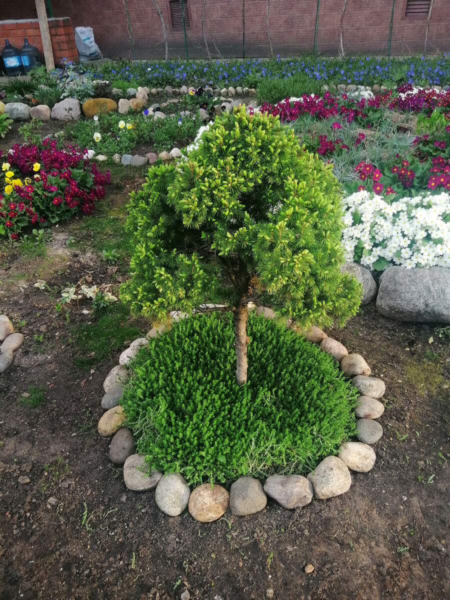 Просто для обложки 