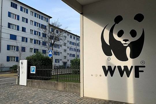    WWF России прекратила отношения с швейцарским фондом после признания нежелательной организацией