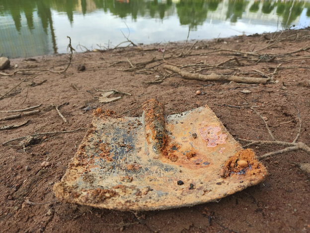    Что обитает на дне океана: подборка находок со дна пруда в парке имени Кирова