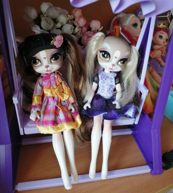 И опять супер-удачная покупка на Мешке. Редчайшие собаченьки Пинки Купер по 500 руб за каждую! Я как будто выиграла в кукольную лотерею! Обе в очень хорошем состоянии, частично с родным аутфитом.