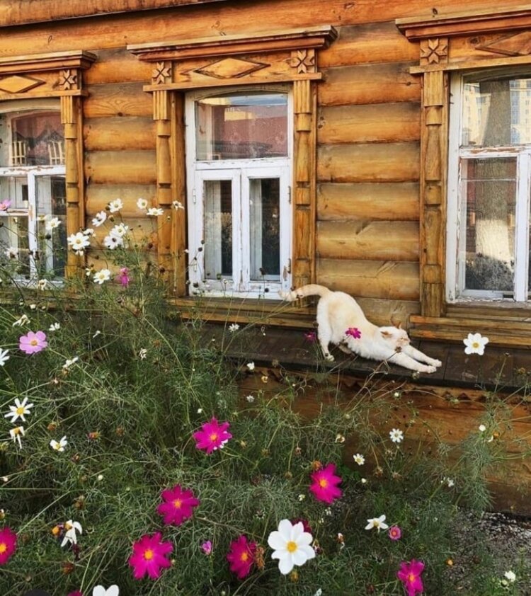 �������� ����: gamerwall.pro