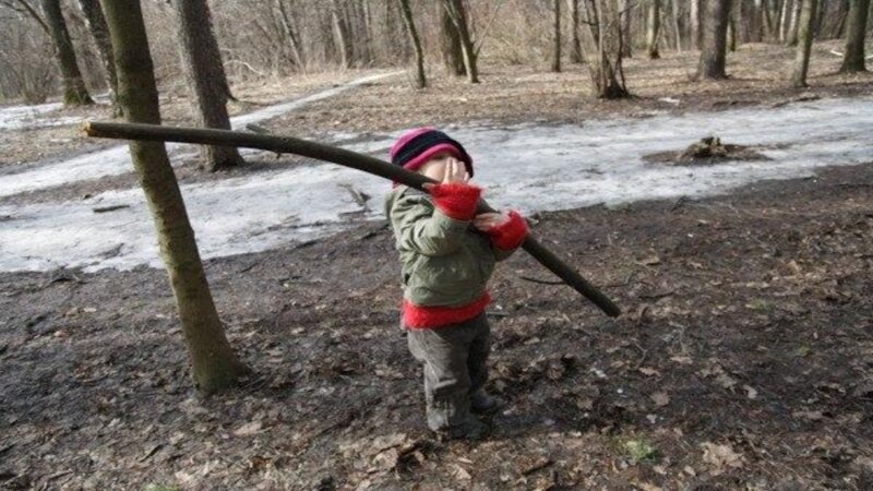 Включи палку. Палка в лесу. Мальчик с палкой. Школьник с палкой. Мальчик на улице с палкой.