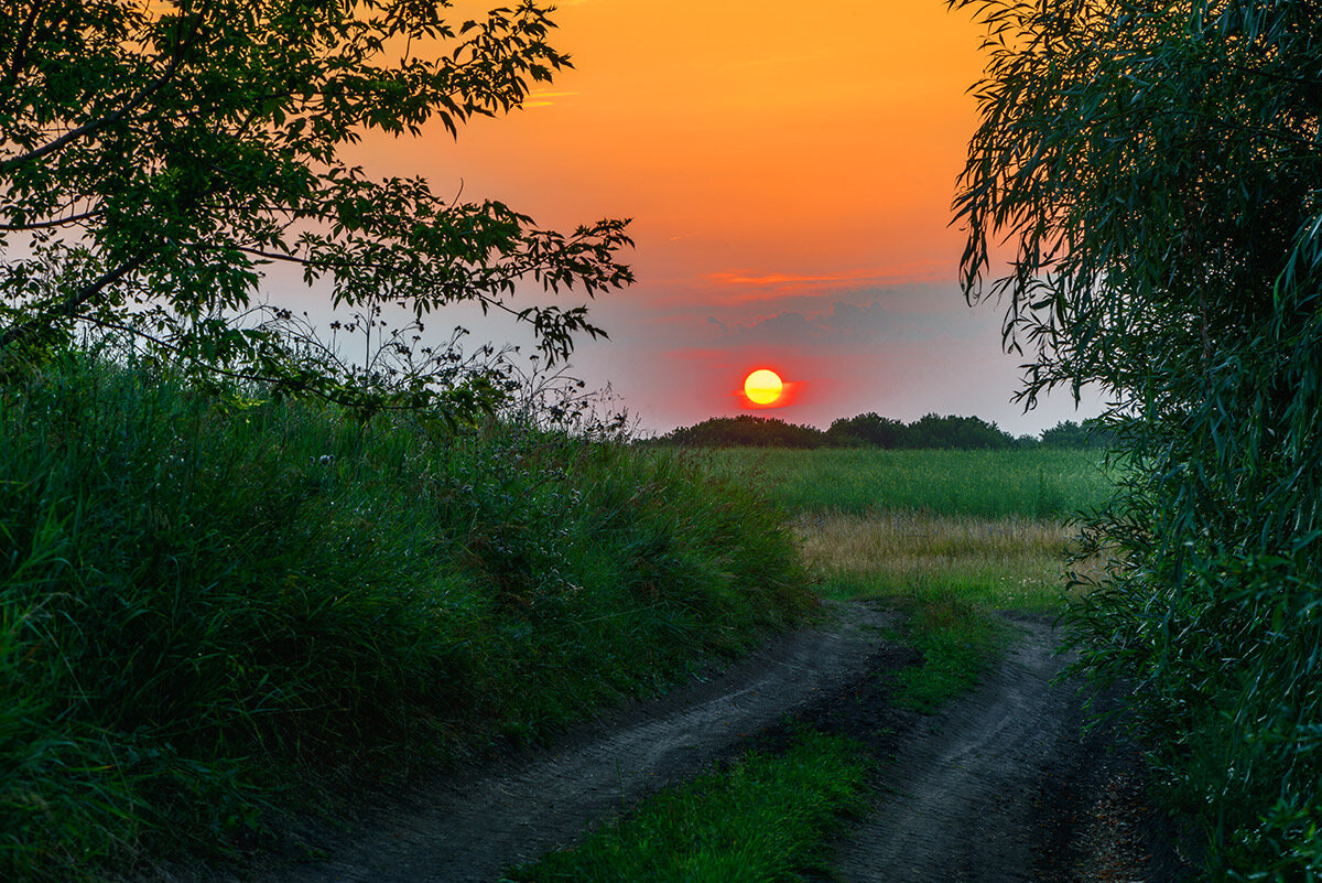 Картинки летний закат