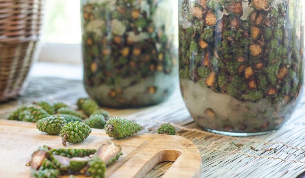 Крупные шишки режут, чтобы они дали больше сока.