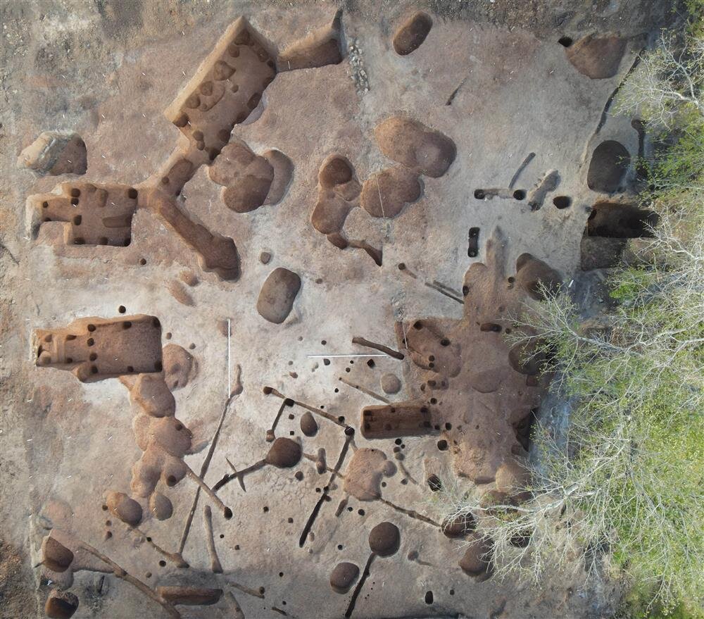 Общий вид одного из участков раскопа