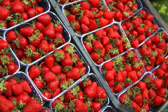    Сколько клубники можно съесть без вреда для здоровья?