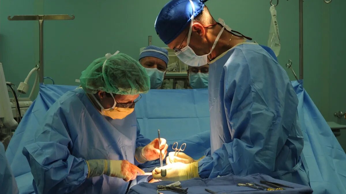 Фото: pxhere.com