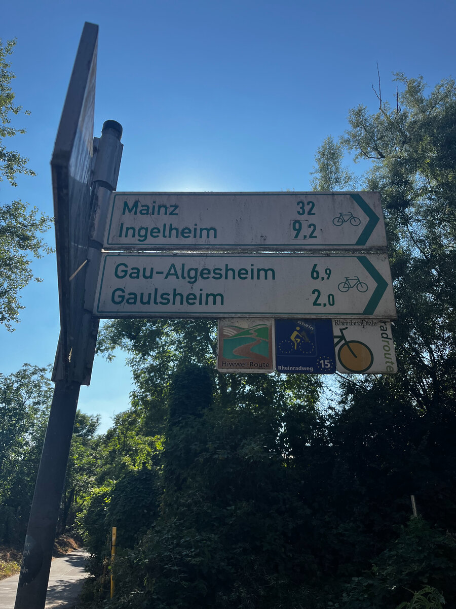 Видно, что это не только часть Reihnradweg, но и еще двух каких-то маршрутов (квадраты внизу)