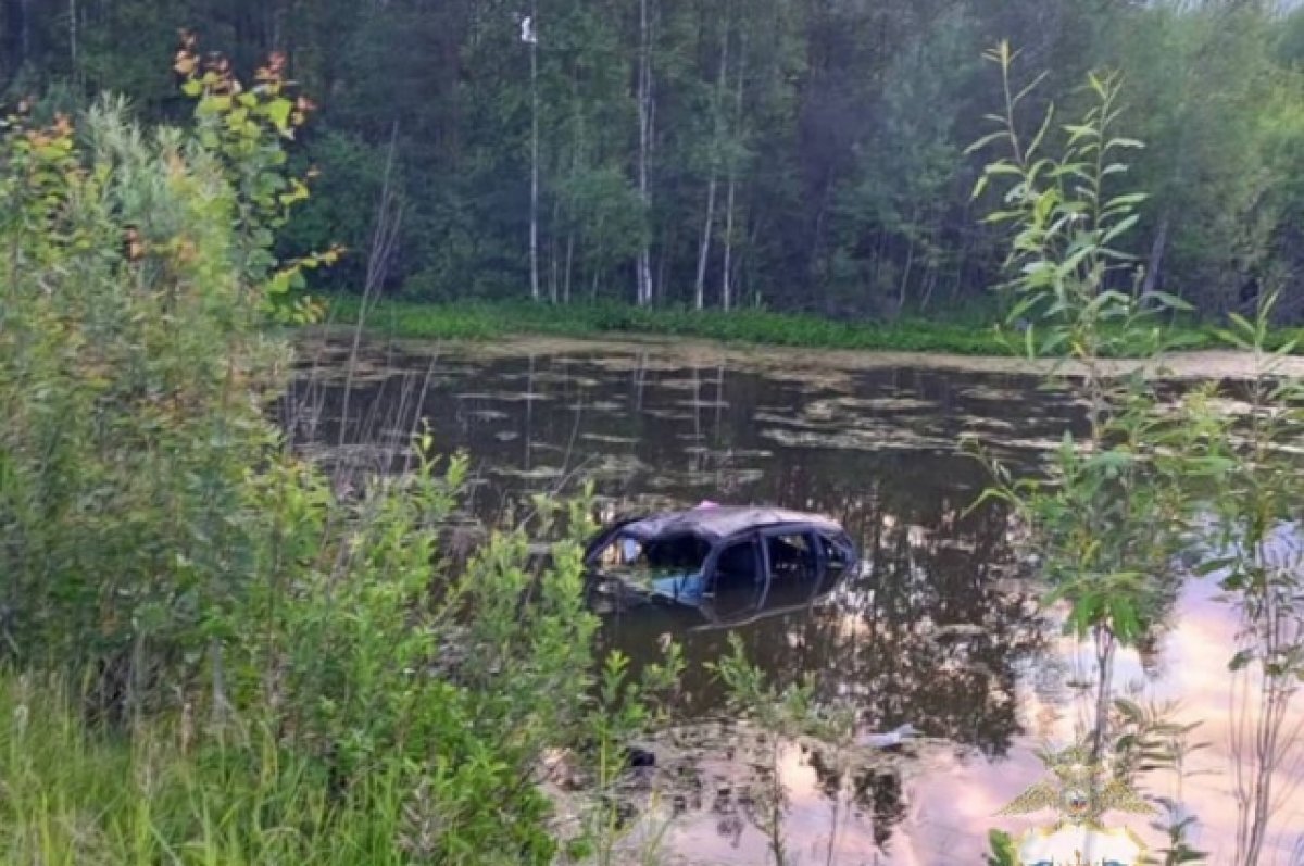    Автомобиль вылетел с дороги в кювет и опрокинулся в болото.