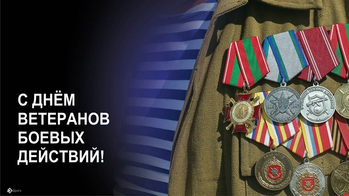 День ветеранов боевых действий. Иллюстрация: «Весь Искитим»