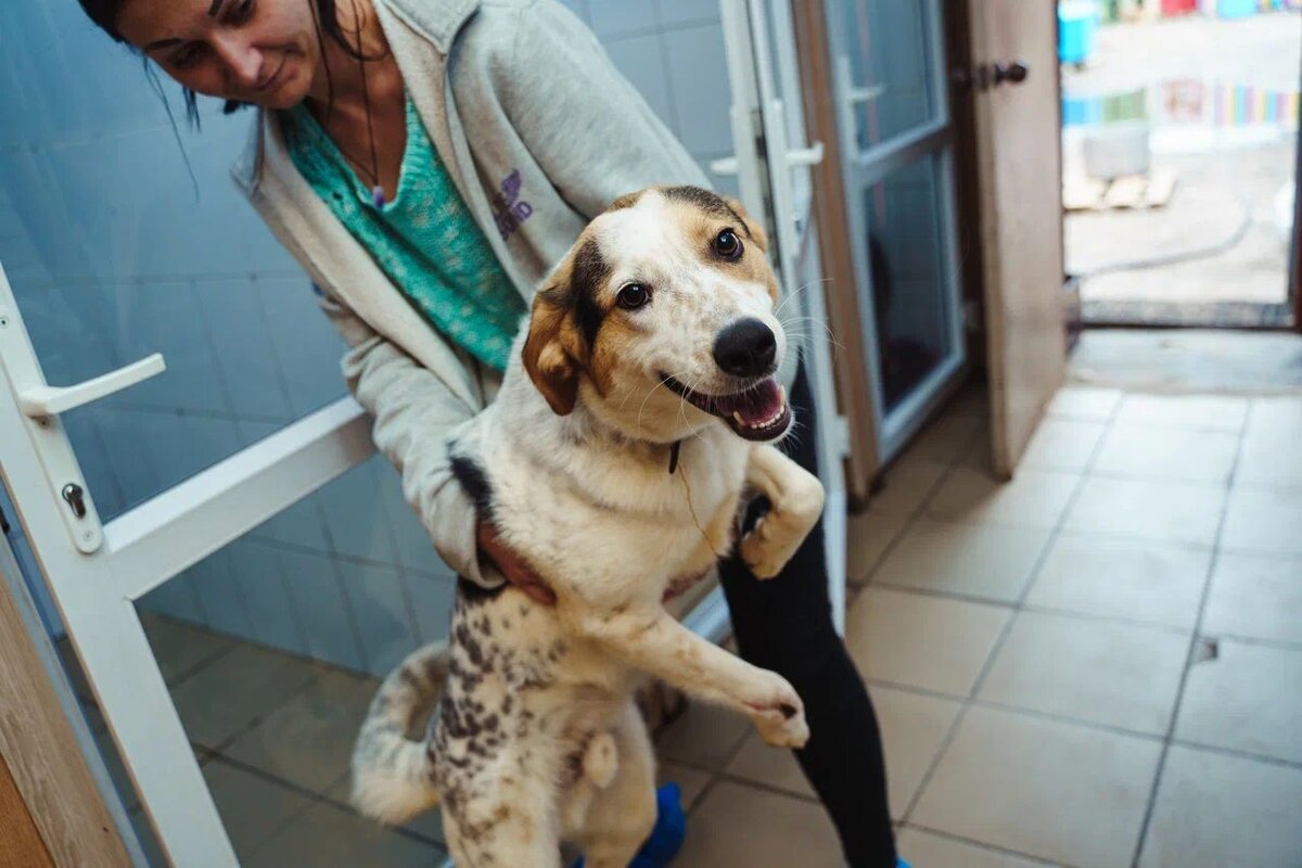 Нам приют, который полон надежды на выжива**ние