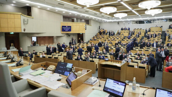    В ГД предложили увеличить компенсации членам семьи погибших военных Ирина Петрова