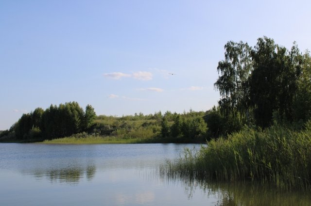    Какие пляжи Удмуртии безопасны?