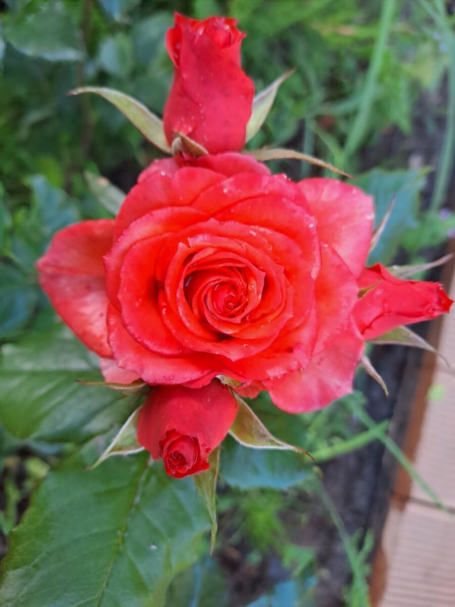 Мой первый раз. | Истории 18+ из жизни | Дзен