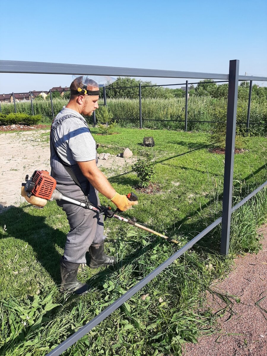 Как перестать косить траву вдоль забора? 5 способов бросить это ...