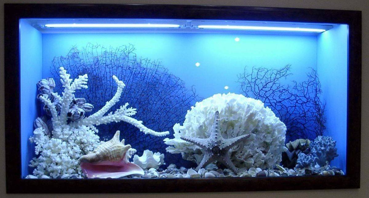 Сухой аквариум в полу в интерьере (44 фото)
