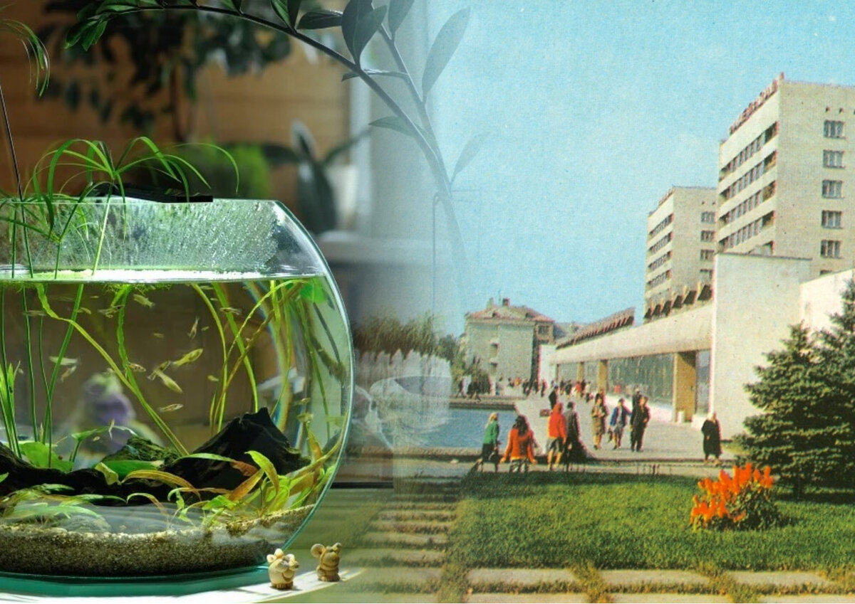 Тот самый аквариум-линза