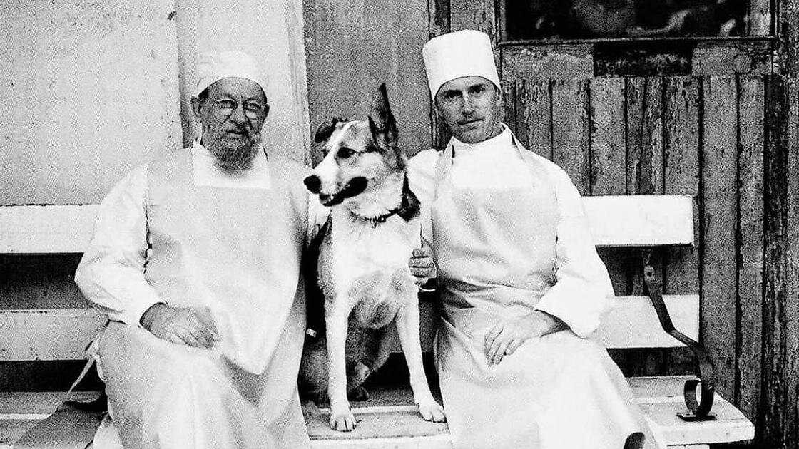 Основная проблема произведения заключается в изменении человеческой природы и самоидентификации.