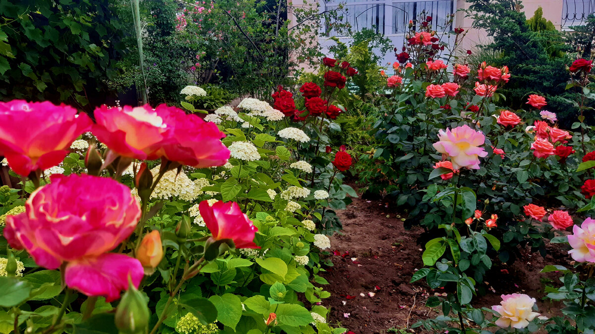 Фото автора