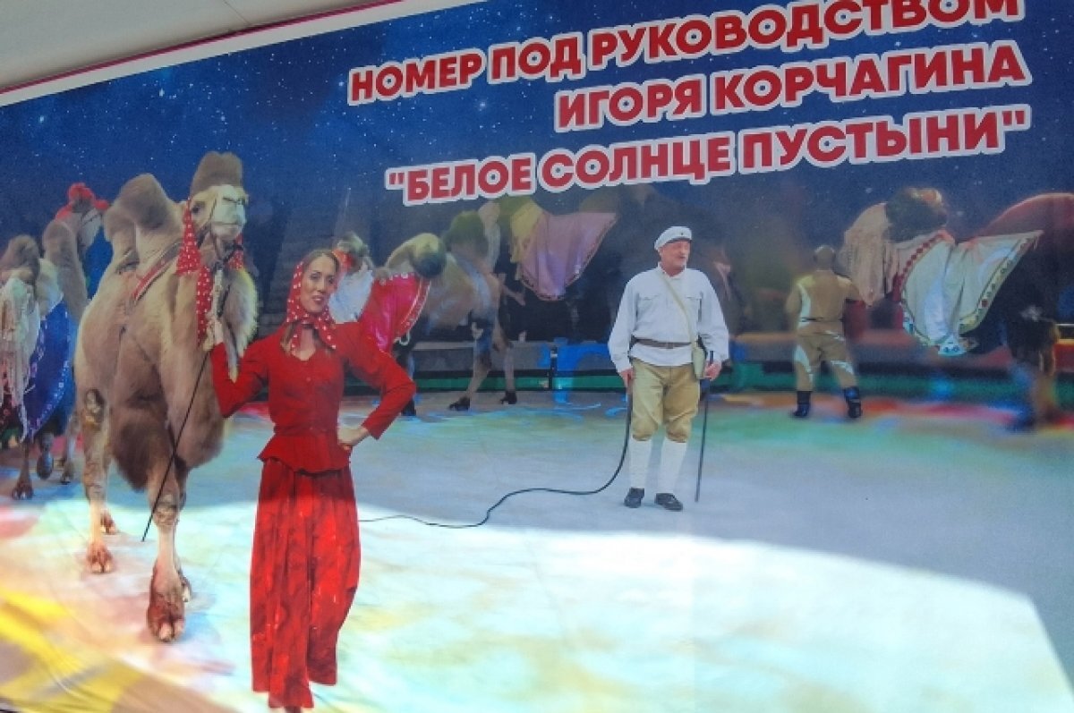    Артист выступает с номером «Белое солнце пустыни».