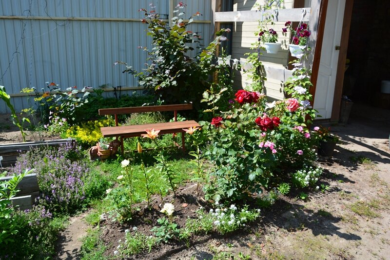 Розарий, освещённый солнцем