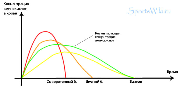 Как усваивается комплексный протеин. Источник: http://sportwiki.to/Комплексный_протеин