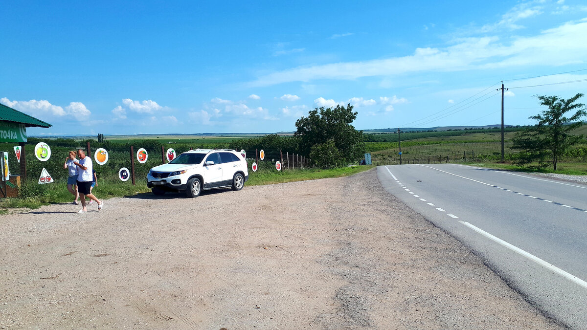 Сады по дороге из Бахчисарайского района в Саки.