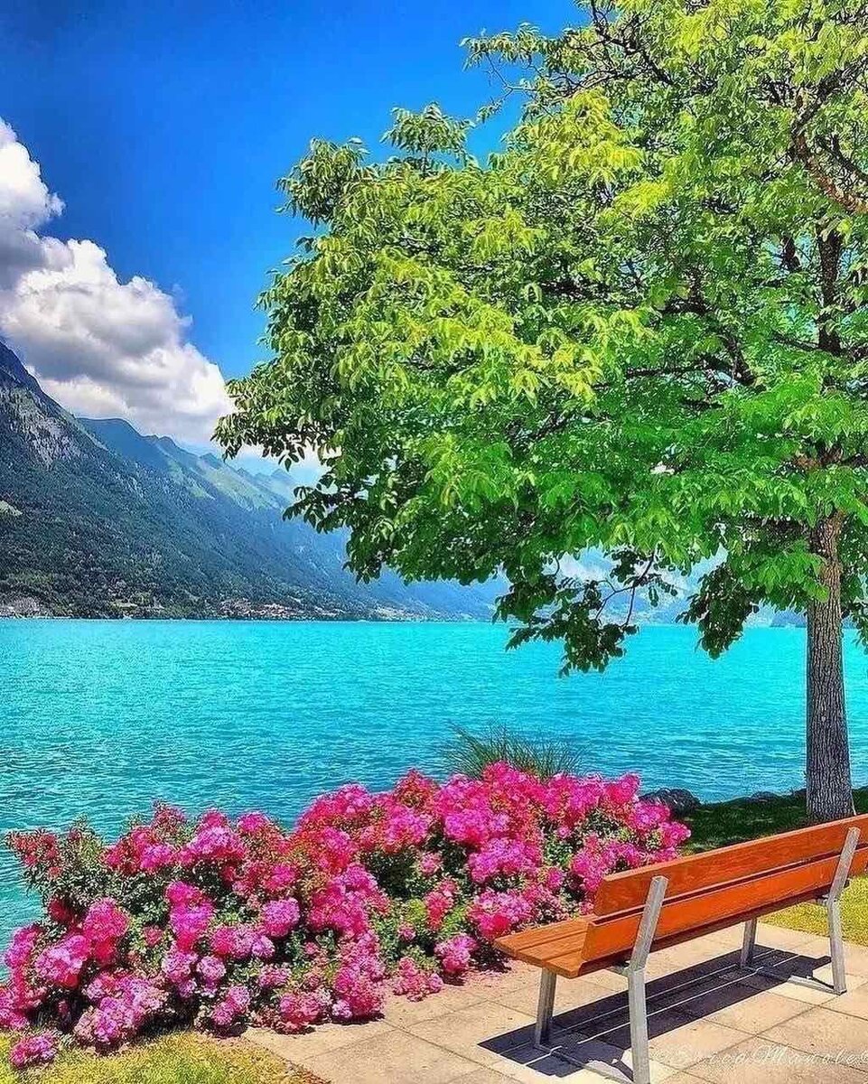 Свободный доступ. Хочется на море