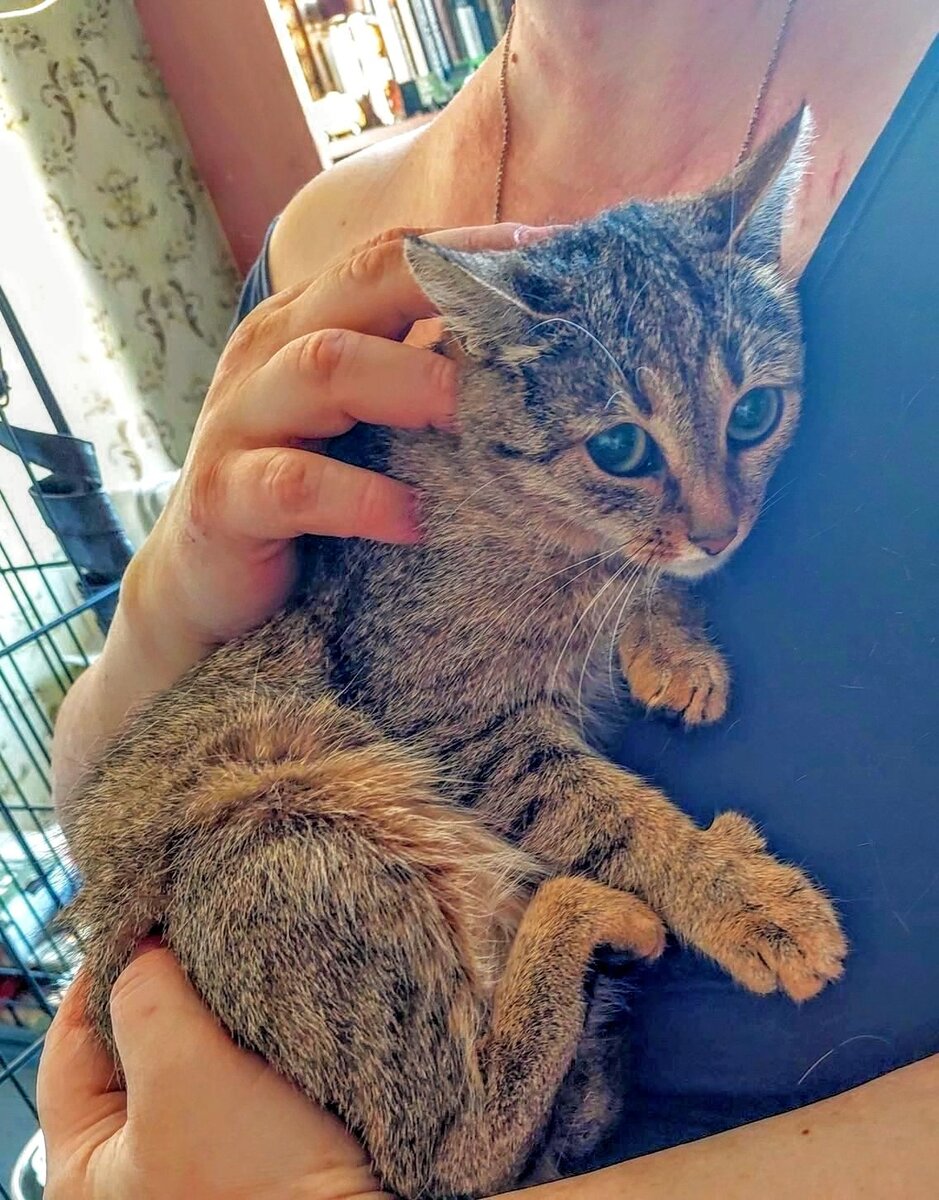 На ручках сидеть любит