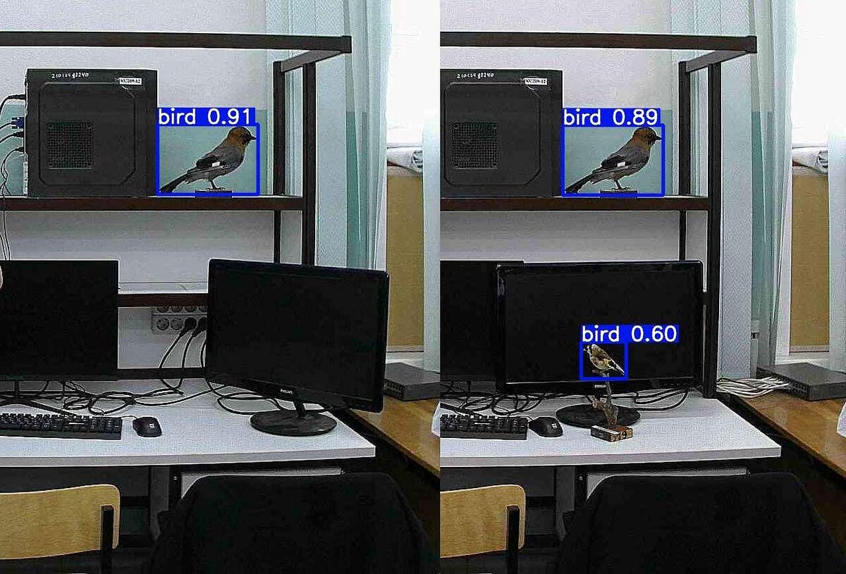 Программ порогового распознавания птиц по видео- и фотоизображениям с использованием искусственного интеллекта 