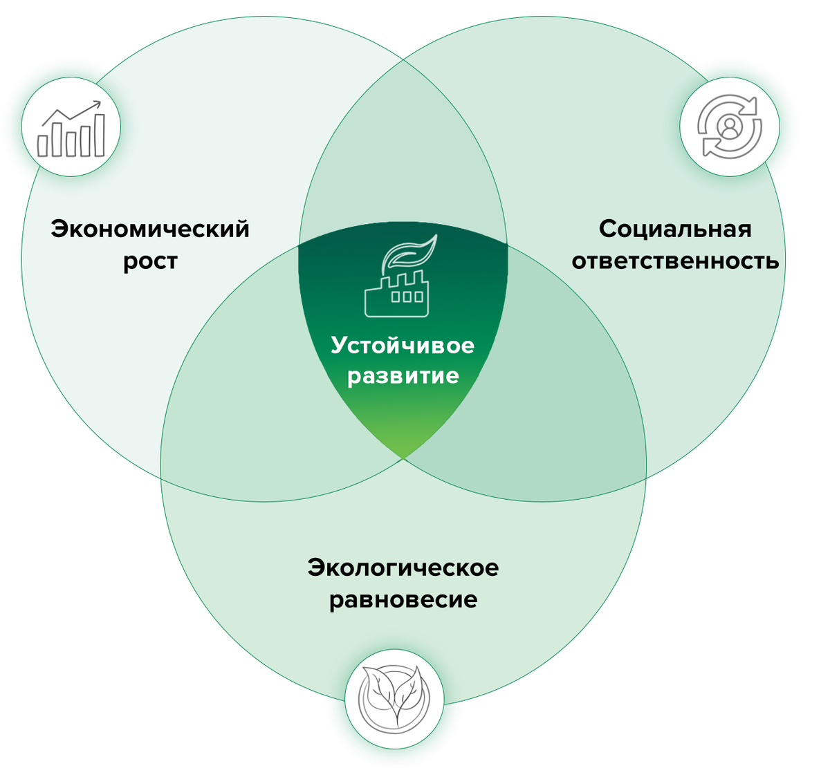 Базовые принципы устойчивого развития. 
