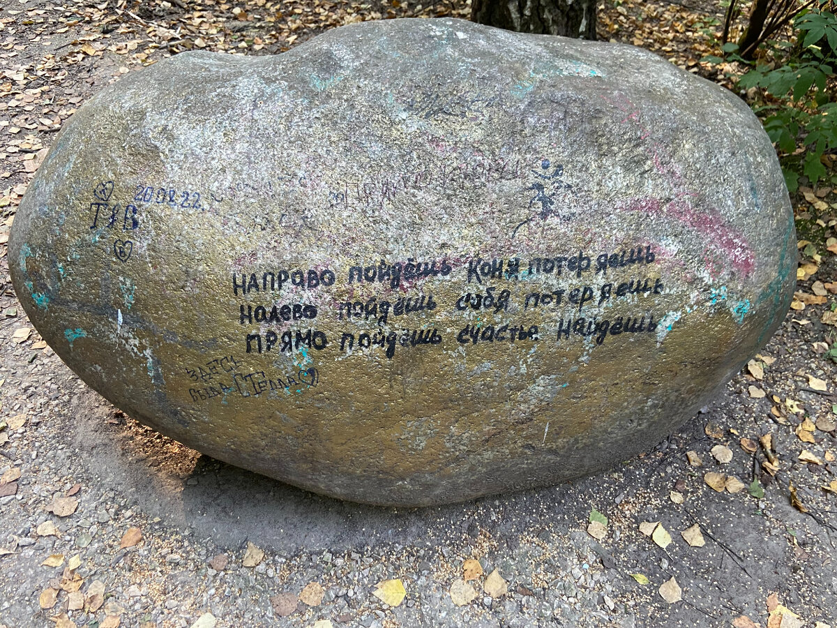 Дневник Надежды. 2022 год