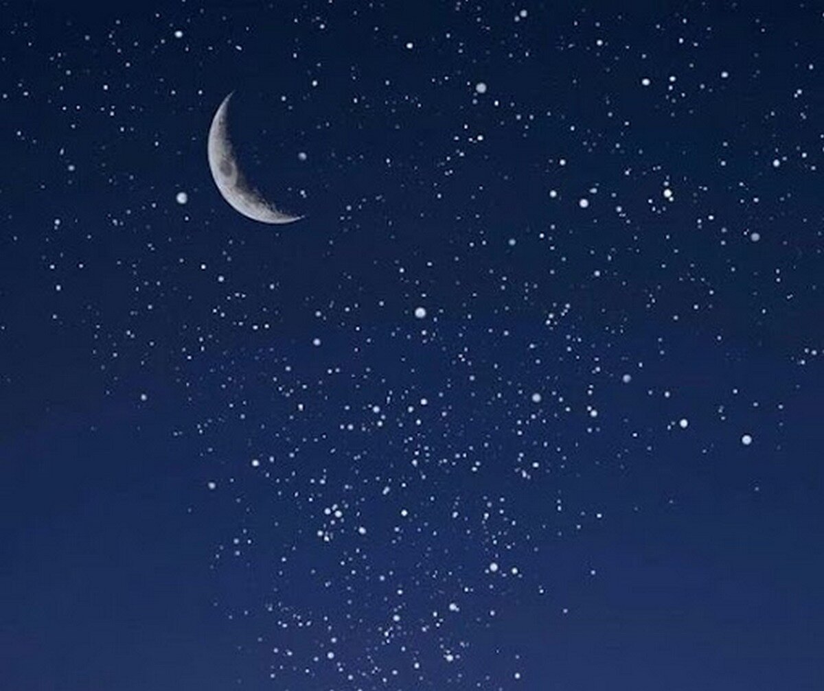 © Фото: ИД «Волгоградская правда» / архив