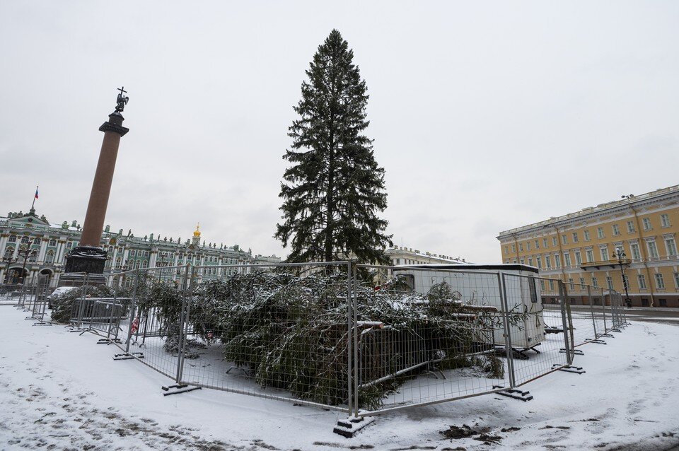     Новый год придется встречать в лужах и при плюсовой погоде. Юлия ПЫХАЛОВА