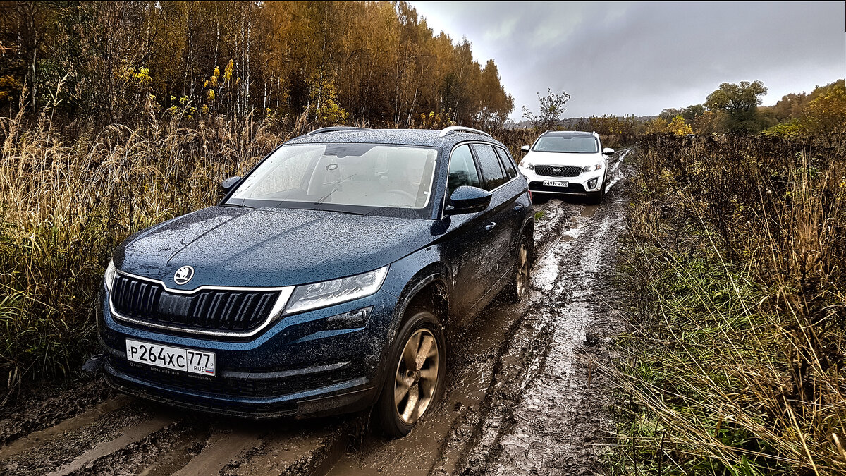 Когда нет смысла переплачивать за ТОЙОТУ! Соренто ПРАЙМ или Кодиак? Skoda  Kodiaq KIA Sorento Prime! | Сlickoncar | Дзен