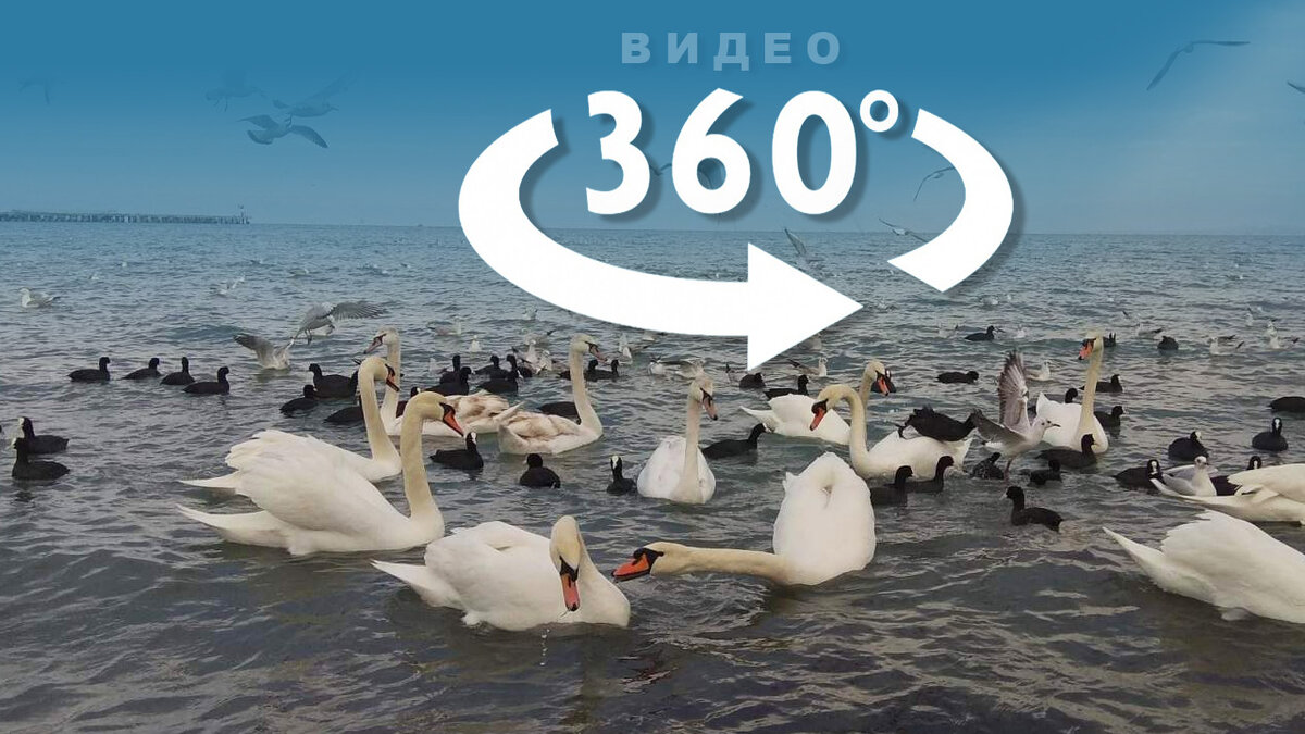 Смотрите видео о курорте Анапа в формате 360 градусов.