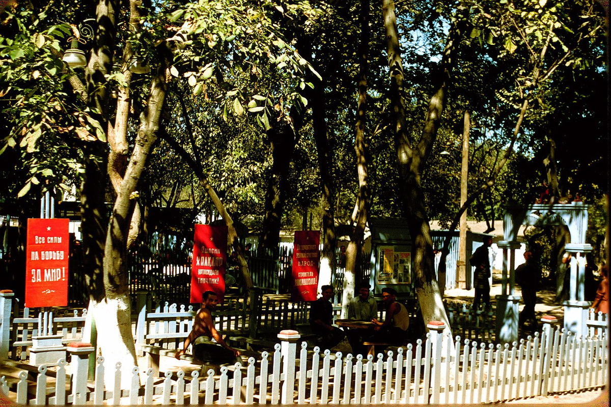 ташкент 1956 дюпакье. фотографии жака дюпакье ташкента. ссср глазами французского фотографа жака дюпакье. ташкент 1956. ташкент 1956 года.