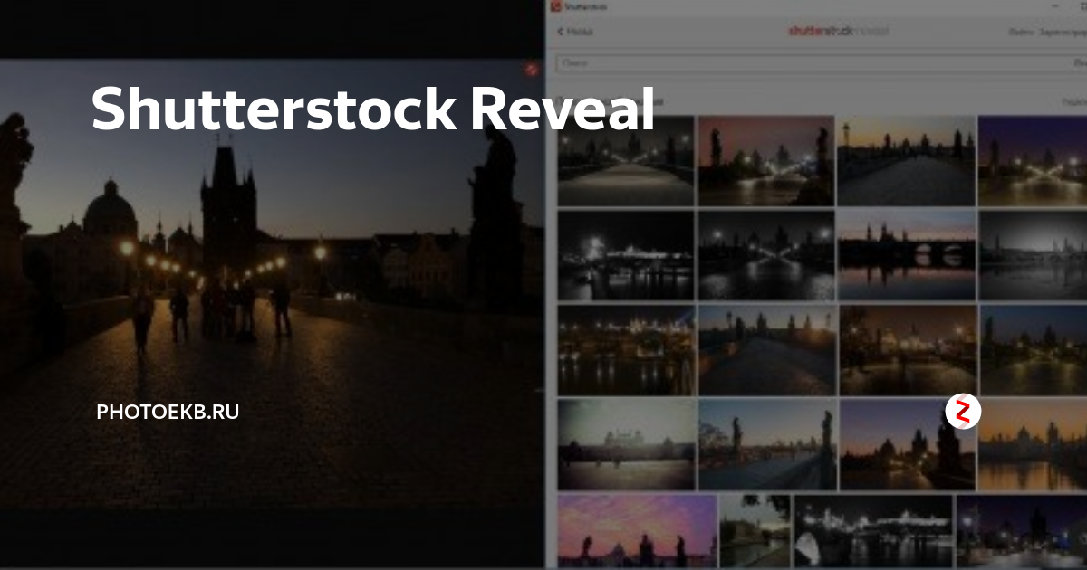 Shutterstock Reveal Photoekb.ru Дзен