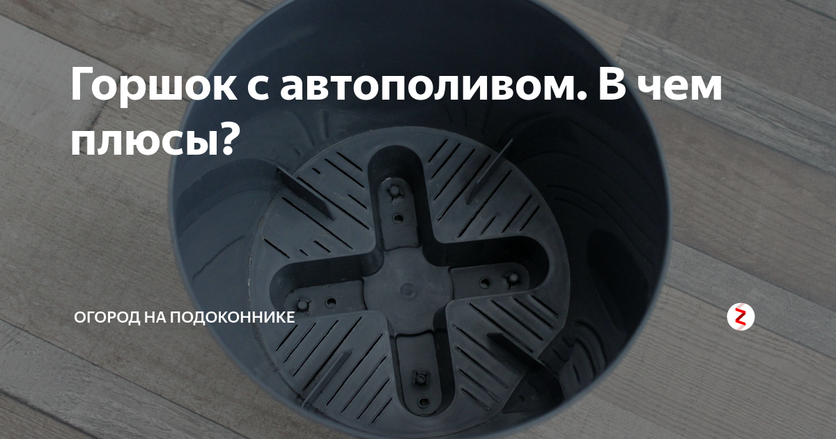 Горшок с автополивом. В чем плюсы? | Огород на подоконнике | Дзен